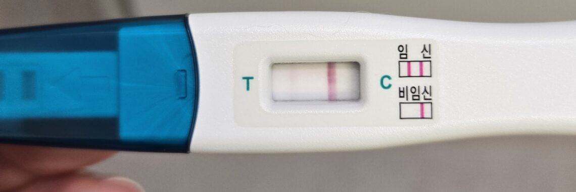 [임신일기-02] 첫번째 시도만에?? 임신이라구?? (임신극초기, 스마일베테기, 동아얼리임테기, 원포임테기) 임신일기2 1 1