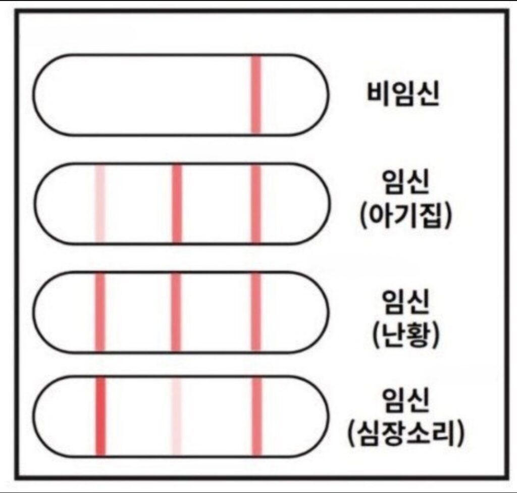 [임신일기-03] 아기집 집들이하러 병원에 방문하다. (4-5주차, 쓰리라인임테기, 동탄제일병원, 임신확인서) 임신일기3 5 1