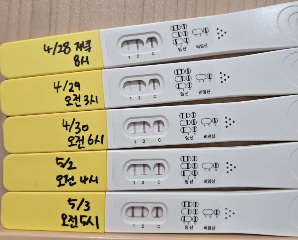 [임신일기-03] 아기집 집들이하러 병원에 방문하다. (4-5주차, 쓰리라인임테기, 동탄제일병원, 임신확인서) 임신일기3 6 1