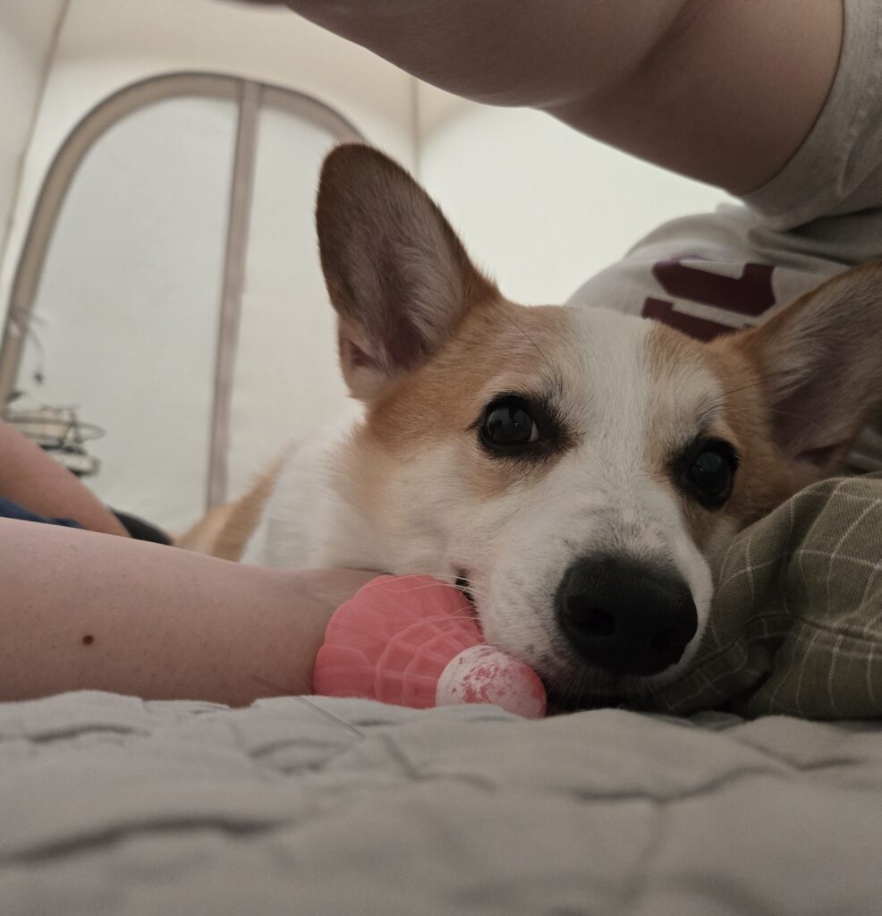 [진천-더빌리지캠핑장] 캠핑장계의 에르메스? 이대로 괜찮은가. 캠핑 더빌리지4